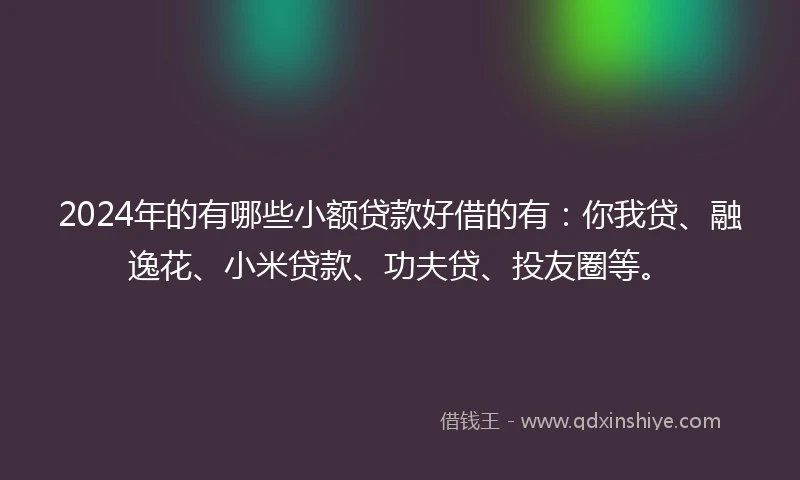 2024年的有哪些小额贷款好借的有：你我贷、融逸花、小米贷款、功夫贷、投友圈等。