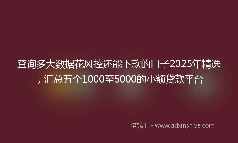 查询多大数据花风控还能下款的口子2025年精选，汇总五个1000至5000的小额贷款平台