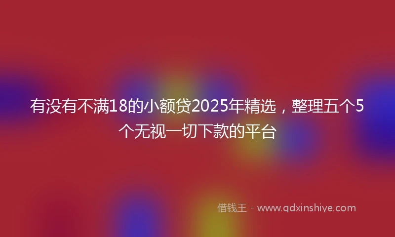 有没有不满18的小额贷2025年精选，整理五个5个无视一切下款的平台