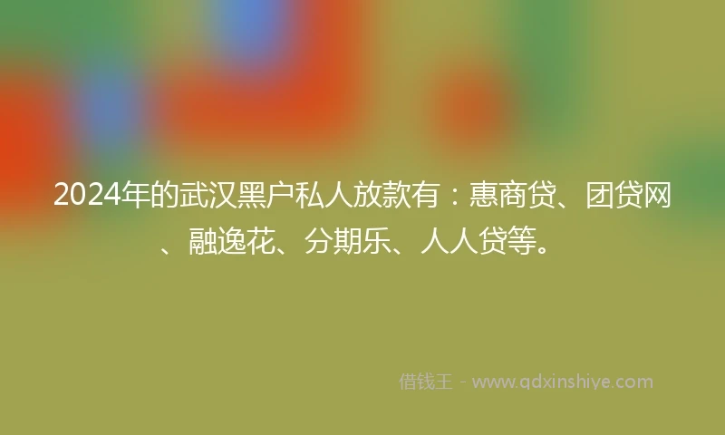 2024年的武汉黑户私人放款有：惠商贷、团贷网、融逸花、分期乐、人人贷等。