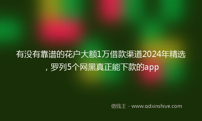 有没有靠谱的花户大额1万借款渠道2024年精选，罗列5个网黑真正能下款的app