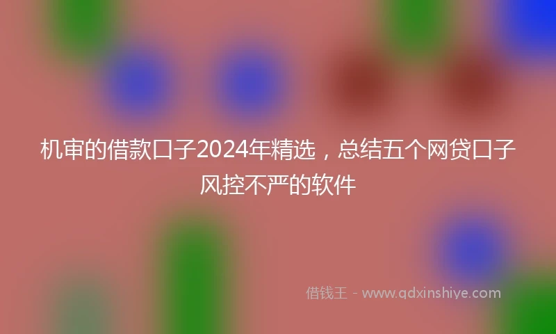 机审的借款口子2024年精选，总结五个网贷口子风控不严的软件