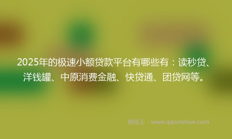 2025年的极速小额贷款平台有哪些有：读秒贷、洋钱罐、中原消费金融、快贷通、团贷网等。
