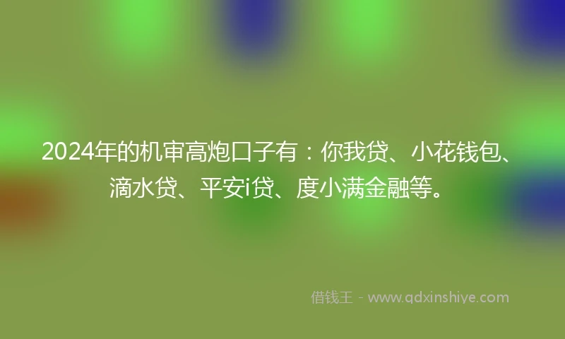 2024年的机审高炮口子有：你我贷、小花钱包、滴水贷、平安i贷、度小满金融等。