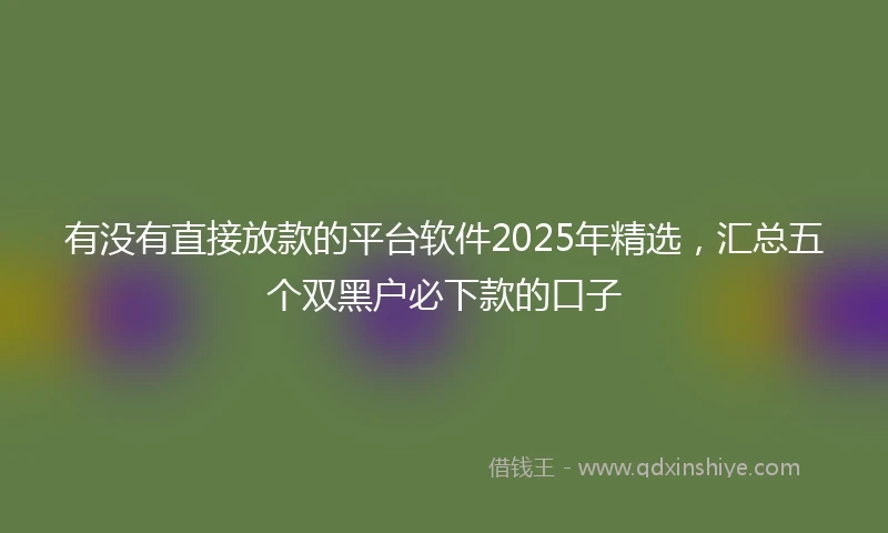 有没有直接放款的平台软件2025年精选，汇总五个双黑户必下款的口子