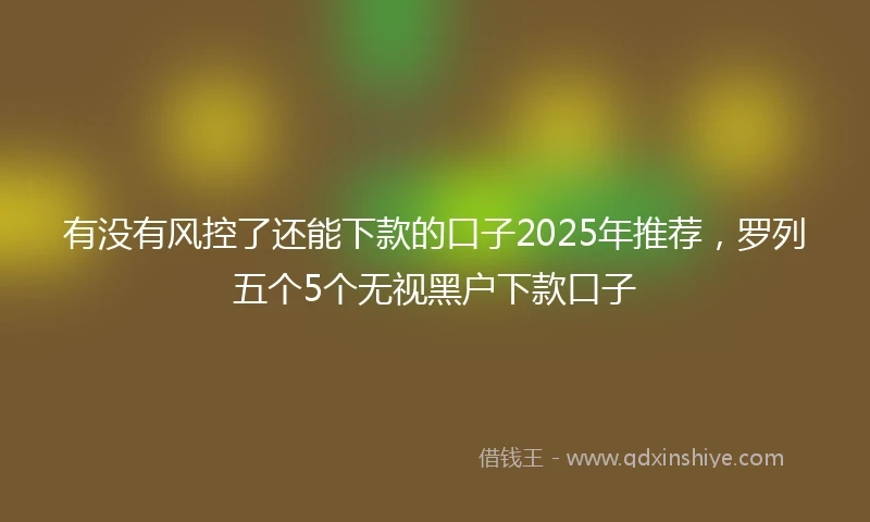 有没有风控了还能下款的口子2025年推荐，罗列五个5个无视黑户下款口子