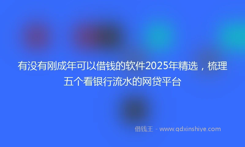 有没有刚成年可以借钱的软件2025年精选，梳理五个看银行流水的网贷平台