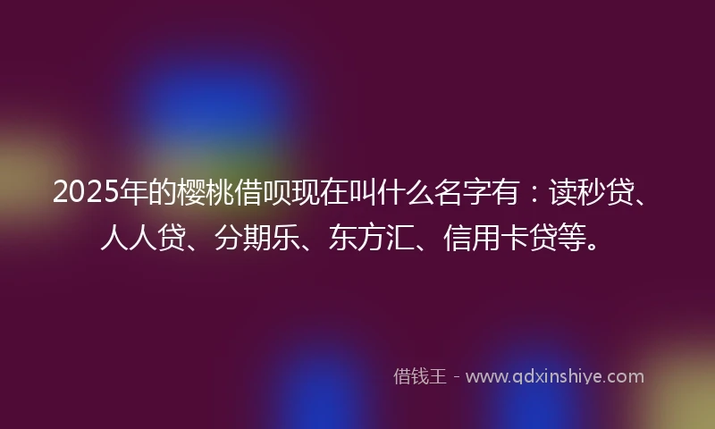 2025年的樱桃借呗现在叫什么名字有：读秒贷、人人贷、分期乐、东方汇、信用卡贷等。