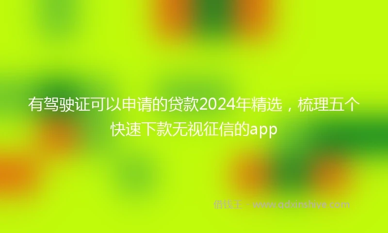 有驾驶证可以申请的贷款2024年精选，梳理五个快速下款无视征信的app