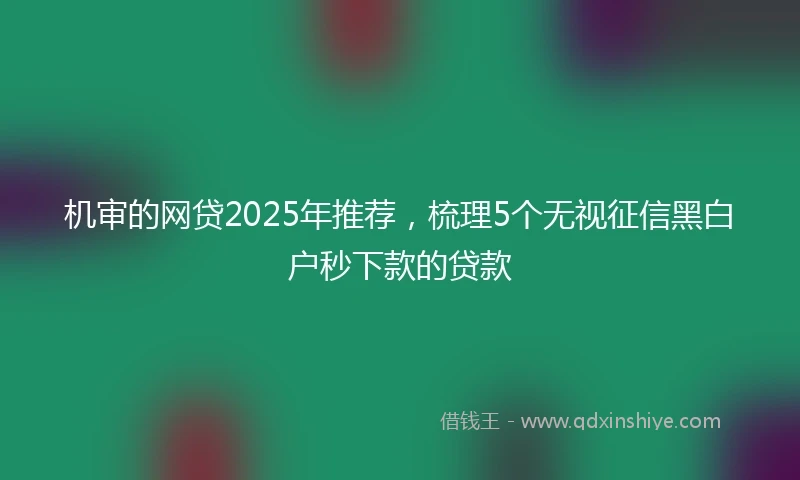 机审的网贷2025年推荐，梳理5个无视征信黑白户秒下款的贷款