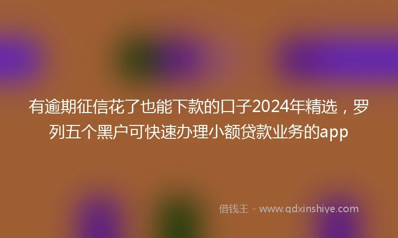有逾期征信花了也能下款的口子2024年精选，罗列五个黑户可快速办理小额贷款业务的app
