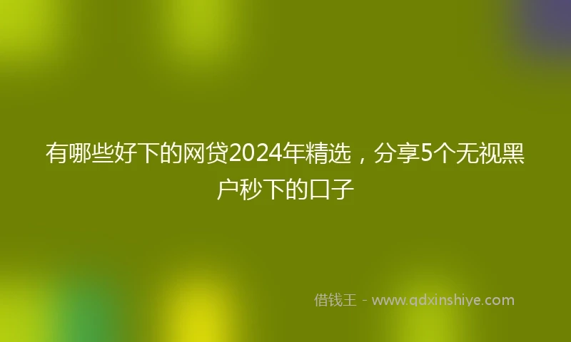 有哪些好下的网贷2024年精选，分享5个无视黑户秒下的口子
