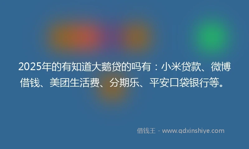 2025年的有知道大鹅贷的吗有：小米贷款、微博借钱、美团生活费、分期乐、平安口袋银行等。
