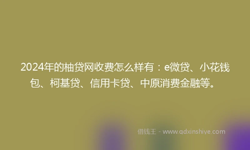 2024年的柚贷网收费怎么样有：e微贷、小花钱包、柯基贷、信用卡贷、中原消费金融等。