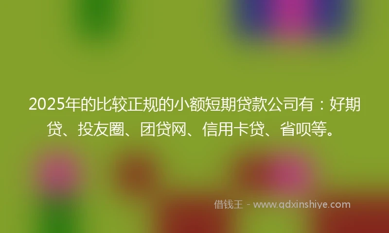 2025年的比较正规的小额短期贷款公司有：好期贷、投友圈、团贷网、信用卡贷、省呗等。