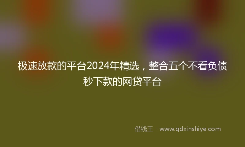 极速放款的平台2024年精选，整合五个不看负债秒下款的网贷平台