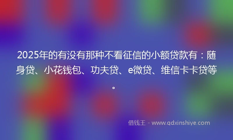 2025年的有没有那种不看征信的小额贷款有：随身贷、小花钱包、功夫贷、e微贷、维信卡卡贷等。