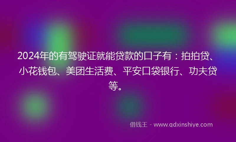 2024年的有驾驶证就能贷款的口子有：拍拍贷、小花钱包、美团生活费、平安口袋银行、功夫贷等。
