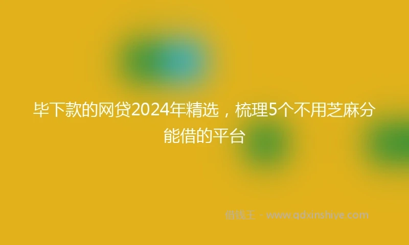 毕下款的网贷2024年精选，梳理5个不用芝麻分能借的平台