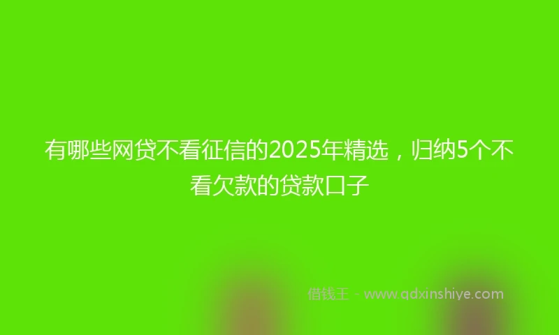 有哪些网贷不看征信的2025年精选，归纳5个不看欠款的贷款口子