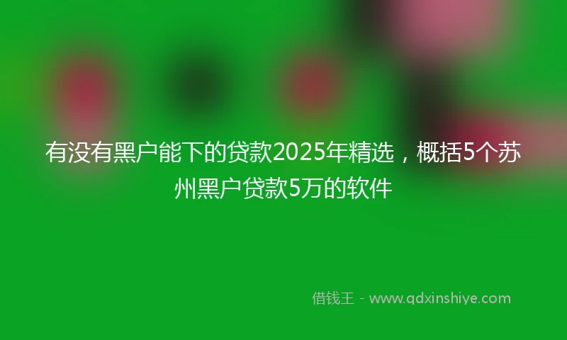 有没有黑户能下的贷款2025年精选，概括5个苏州黑户贷款5万的软件