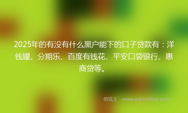 2025年的有没有什么黑户能下的口子贷款有：洋钱罐、分期乐、百度有钱花、平安口袋银行、惠商贷等。