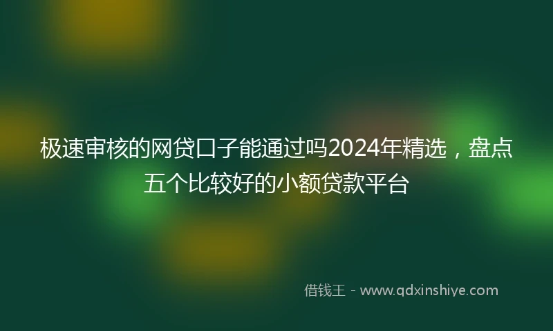 极速审核的网贷口子能通过吗2024年精选，盘点五个比较好的小额贷款平台