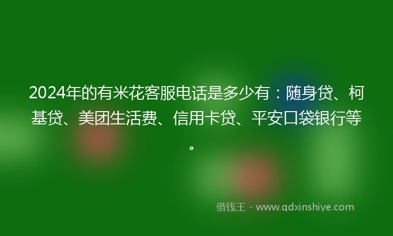 2024年的有米花客服电话是多少有：随身贷、柯基贷、美团生活费、信用卡贷、平安口袋银行等。