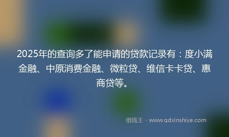 2025年的查询多了能申请的贷款记录有：度小满金融、中原消费金融、微粒贷、维信卡卡贷、惠商贷等。