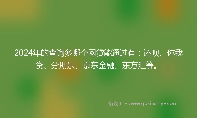 2024年的查询多哪个网贷能通过有：还呗、你我贷、分期乐、京东金融、东方汇等。