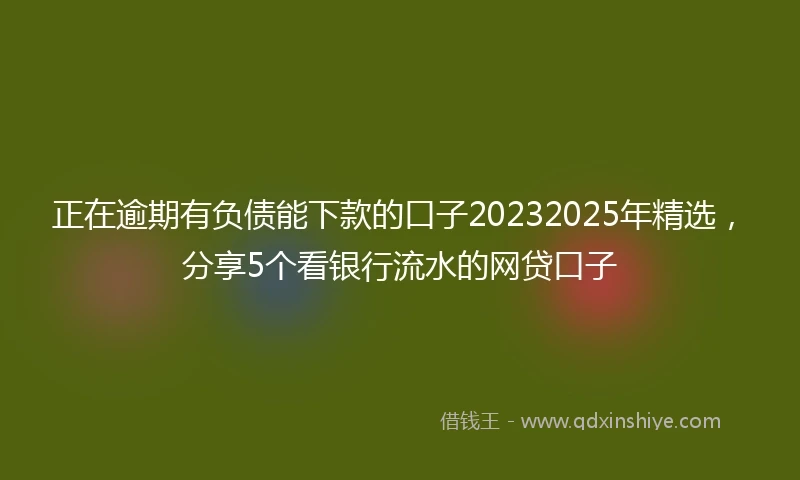 正在逾期有负债能下款的口子20232025年精选，分享5个看银行流水的网贷口子