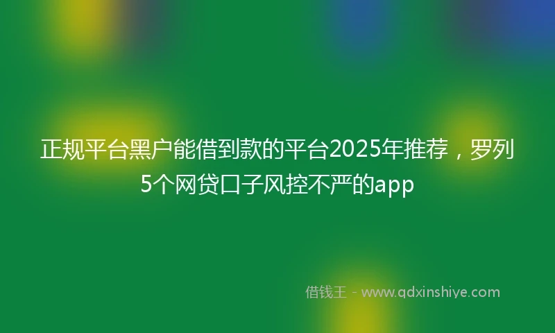 正规平台黑户能借到款的平台2025年推荐，罗列5个网贷口子风控不严的app