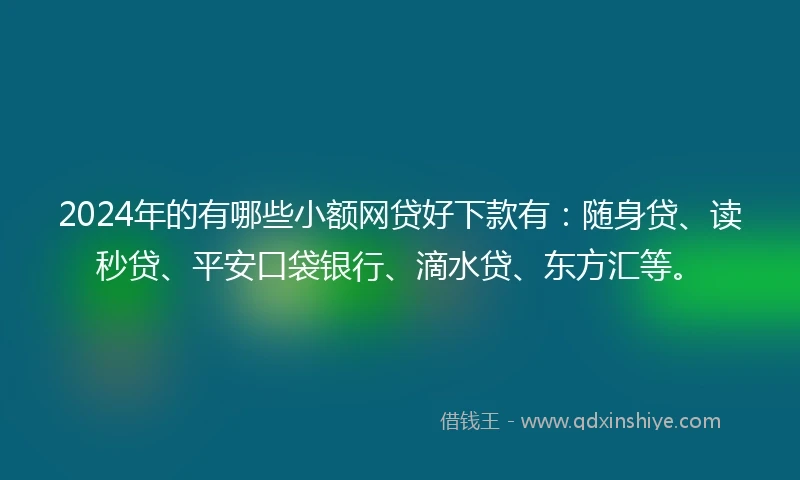 2024年的有哪些小额网贷好下款有：随身贷、读秒贷、平安口袋银行、滴水贷、东方汇等。
