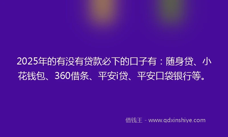 2025年的有没有贷款必下的口子有：随身贷、小花钱包、360借条、平安i贷、平安口袋银行等。