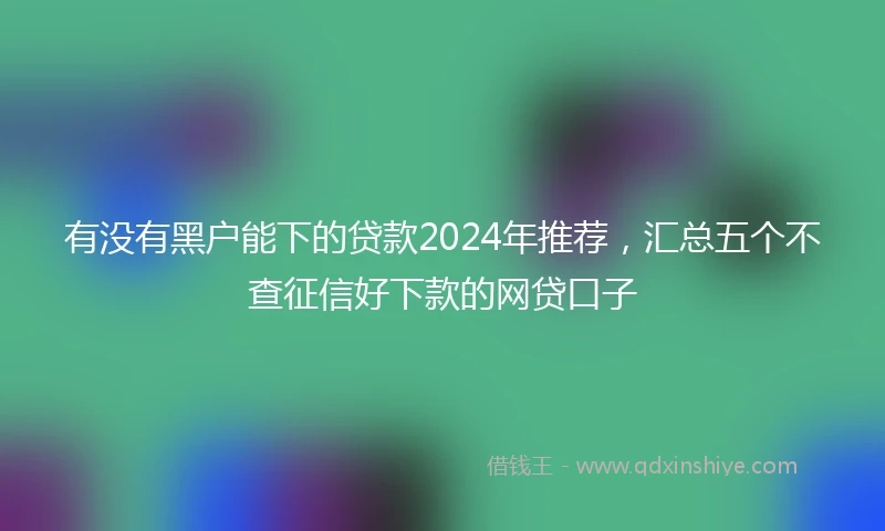 有没有黑户能下的贷款2024年推荐，汇总五个不查征信好下款的网贷口子