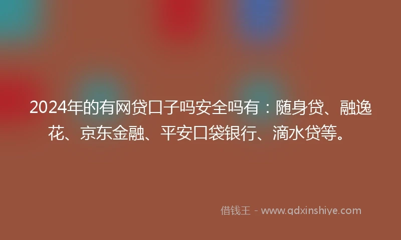 2024年的有网贷口子吗安全吗有：随身贷、融逸花、京东金融、平安口袋银行、滴水贷等。