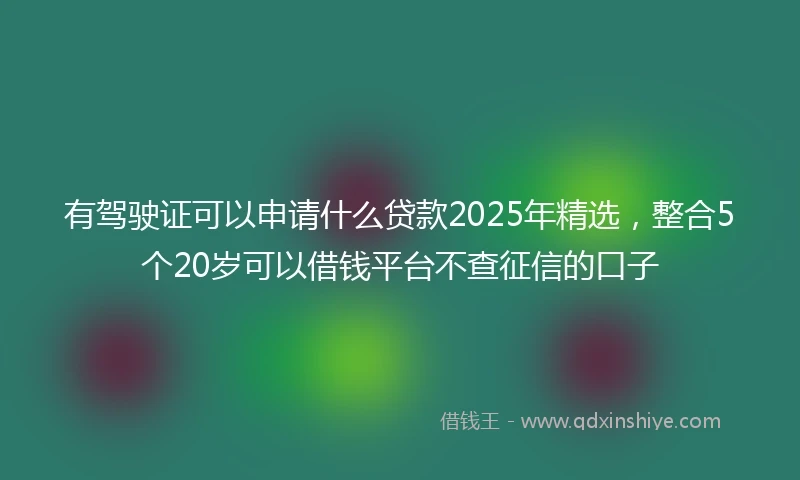 有驾驶证可以申请什么贷款2025年精选，整合5个20岁可以借钱平台不查征信的口子