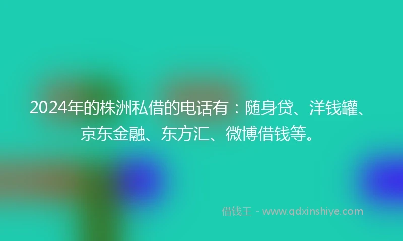 2024年的株洲私借的电话有：随身贷、洋钱罐、京东金融、东方汇、微博借钱等。