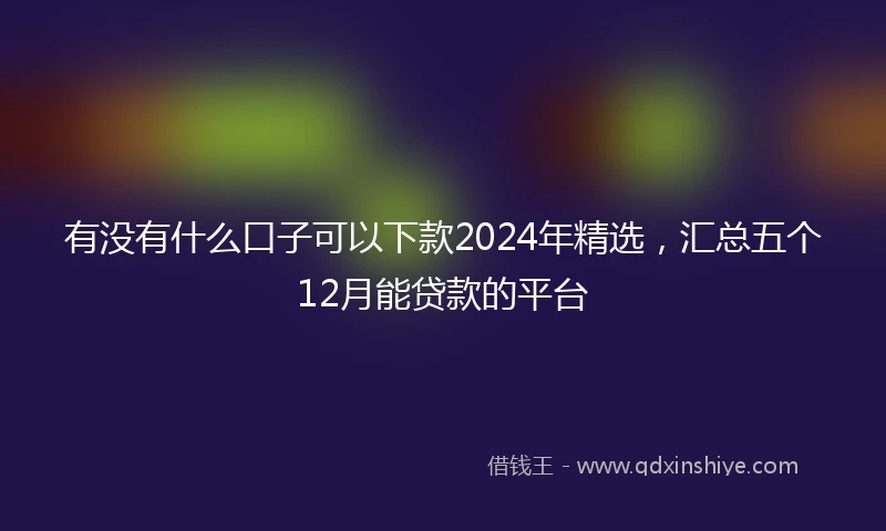 有没有什么口子可以下款2024年精选，汇总五个12月能贷款的平台