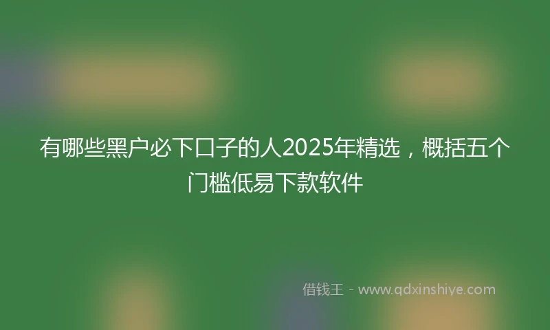 有哪些黑户必下口子的人2025年精选，概括五个门槛低易下款软件
