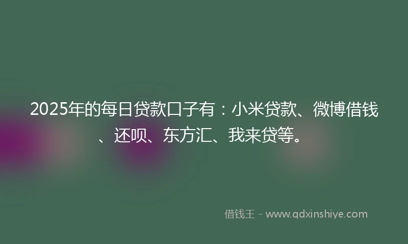 2025年的每日贷款口子有：小米贷款、微博借钱、还呗、东方汇、我来贷等。