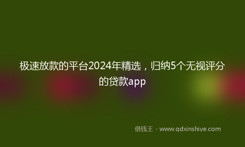 极速放款的平台2024年精选，归纳5个无视评分的贷款app