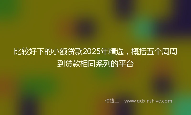 比较好下的小额贷款2025年精选，概括五个周周到贷款相同系列的平台