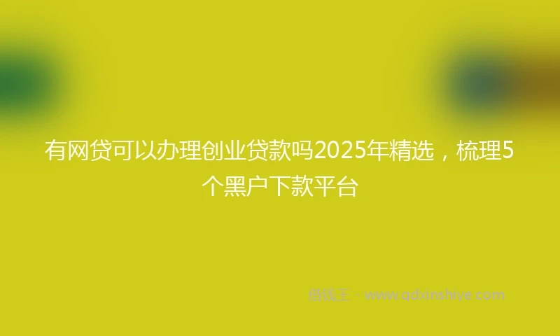 有网贷可以办理创业贷款吗2025年精选，梳理5个黑户下款平台