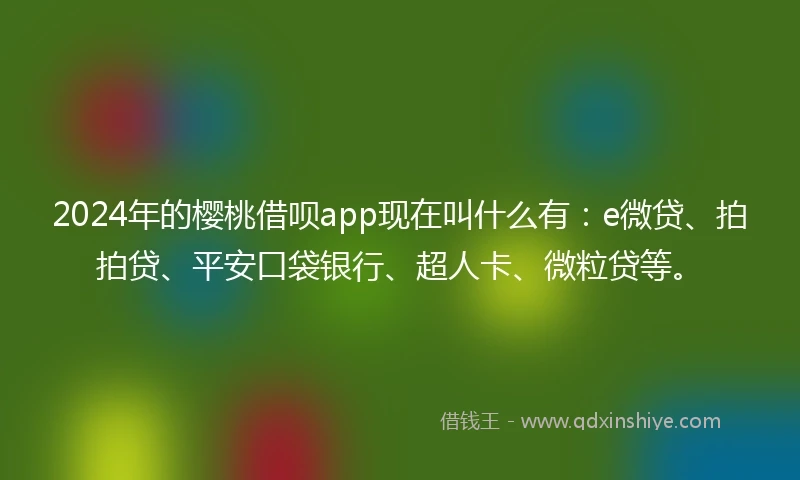 2024年的樱桃借呗app现在叫什么有：e微贷、拍拍贷、平安口袋银行、超人卡、微粒贷等。