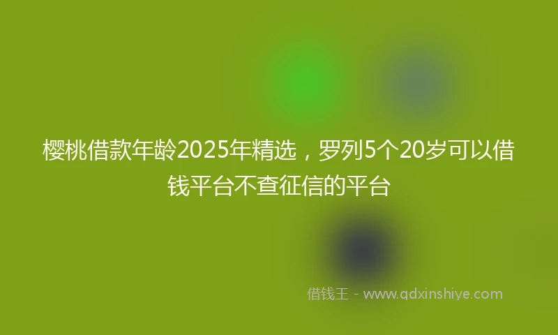 樱桃借款年龄2025年精选，罗列5个20岁可以借钱平台不查征信的平台