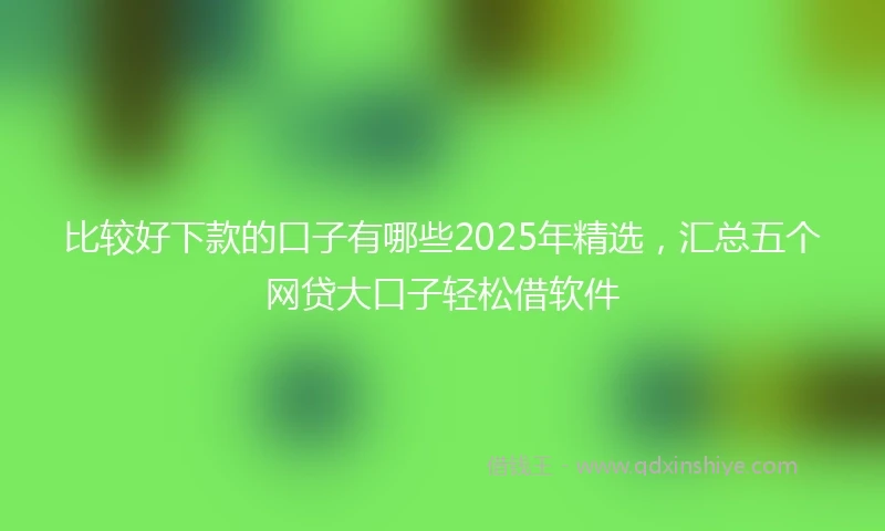 比较好下款的口子有哪些2025年精选，汇总五个网贷大口子轻松借软件