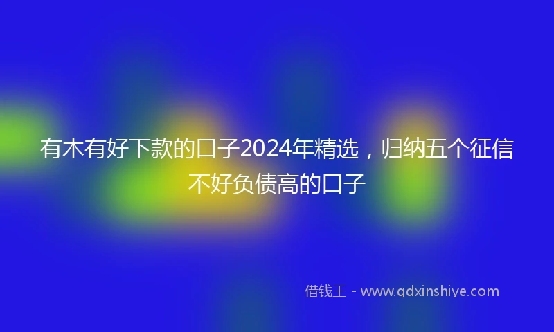 有木有好下款的口子2024年精选，归纳五个征信不好负债高的口子