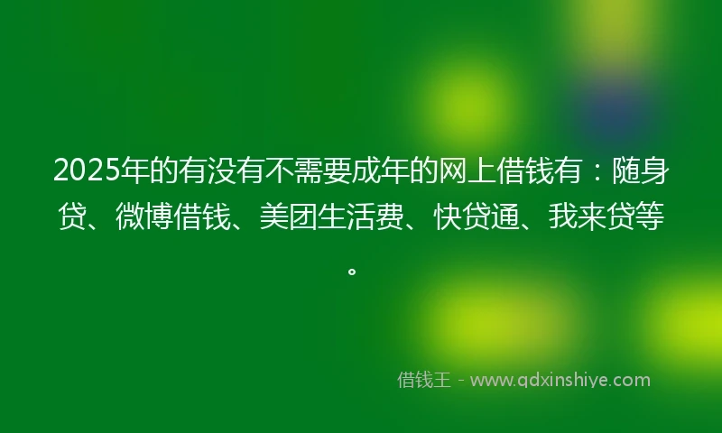 2025年的有没有不需要成年的网上借钱有：随身贷、微博借钱、美团生活费、快贷通、我来贷等。