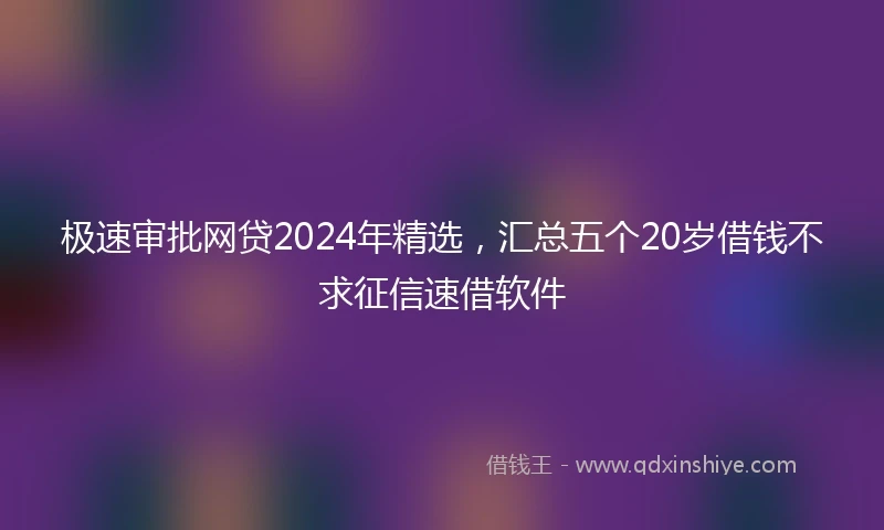 极速审批网贷2024年精选,汇总五个20岁借钱不求征信速借软件